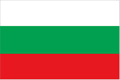tn_bu-flag