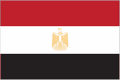 tn_eg-flag