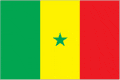 tn_sg-flag