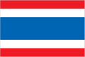 tn_th-flag