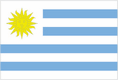 tn_uy-flag